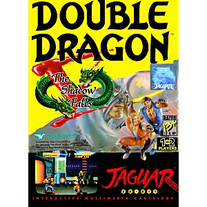 Double Dragon V