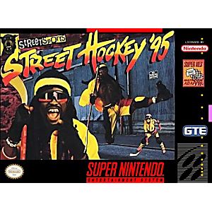 Street Hockey 95