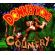 Donkey Kong Country Image 2